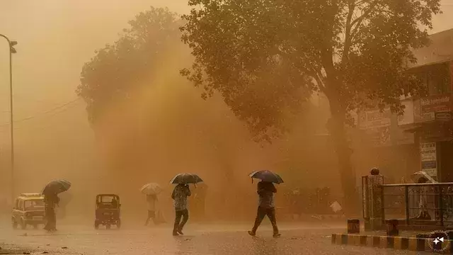 ഏഴ് ജില്ലകളില് ജാഗ്രത, അതിശക്തമായ മഴ ; 60 കിമി വേഗതയില് കാറ്റിനും സാധ്യത ഏഴ് ജില്ലകളില് ജാഗ്രത, അതിശക്തമായ മഴ ; 60 കിമി വേഗതയില് കാറ്റിനും സാധ്യത