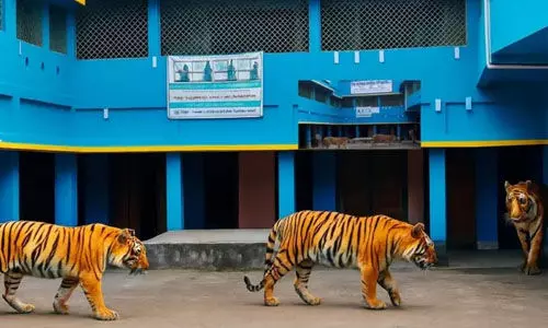 മദ്റസയില് കടുവ കയറിയെന്ന് എഐ വീഡിയോ; അധ്യാപകന് സസ്പെന്ഷന് മദ്റസയില് കടുവ കയറിയെന്ന് എഐ വീഡിയോ; അധ്യാപകന് സസ്പെന്ഷന്