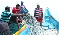 เดเตเดฐเตเดณเดฟเดเดเต เดจเดฟเดฐเตเดงเดจเด เดเดดเดฟเดเตเดเดชเตเดชเตเตพ เดนเดพเตผเดฌเดฑเตเดเตพ เดธเดเตเดตเด เดเตเดฐเตเดณเดฟเดเดเต เดจเดฟเดฐเตเดงเดจเด เดเดดเดฟเดเตเดเดชเตเดชเตเตพ เดนเดพเตผเดฌเดฑเตเดเตพ เดธเดเตเดตเด