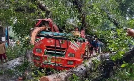 ബസിന് മുകളില്‍ മരം വീണ് അഞ്ച് മരണം