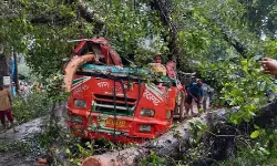 เดฌเดธเดฟเดจเต เดฎเตเดเดณเดฟเดฒเตโ เดฎเดฐเด เดตเตเดฃเต เด
เดเตเดเต เดฎเดฐเดฃเด เดฌเดธเดฟเดจเต เดฎเตเดเดณเดฟเดฒเตโ เดฎเดฐเด เดตเตเดฃเต เด
เดเตเดเต เดฎเดฐเดฃเด