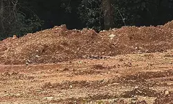 เดงเดฐเตโเดฎเดธเตเดฅเดฒเดฏเดฟเดฒเต เดเตเดฒเดชเดพเดคเดเดเตเดเดณเตโ: เดฌเดพเดนเตเดฌเดฒเดฟ เดเตเดจเตเดจเดฟเดฒเตโ เดชเตเดคเดฟเดฏ เดฎเดฃเตเดฃเดฟเดเตเดเตเดจเตเดจเต เด
เดญเดฟเดญเดพเดทเดเดจเตโ เดงเดฐเตโเดฎเดธเตเดฅเดฒเดฏเดฟเดฒเต เดเตเดฒเดชเดพเดคเดเดเตเดเดณเตโ: เดฌเดพเดนเตเดฌเดฒเดฟ เดเตเดจเตเดจเดฟเดฒเตโ เดชเตเดคเดฟเดฏ เดฎเดฃเตเดฃเดฟเดเตเดเตเดจเตเดจเต เด
เดญเดฟเดญเดพเดทเดเดจเตโ