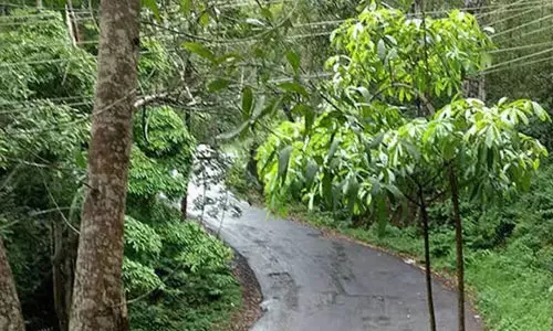 ഡേറ്റിങ് ആപ്പ് വഴി യുവാവിനെ തട്ടിക്കൊണ്ടുപോയി മോഷണം; സുമതി വളവില്‍ ഉപേക്ഷിച്ചു