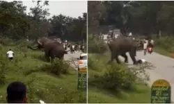 കാട്ടാനയുടെ ആക്രമണത്തില്‍നിന്ന് യുവാവിന് അത്ഭുതരക്ഷ(വിഡിയോ)