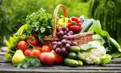 പച്ചക്കറികളിലും പഴവര്‍ഗങ്ങളിലും മാരകകീടനാശിനി പ്രയോഗമെന്ന് കൃഷി വകുപ്പ്