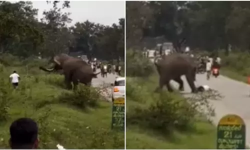 കാട്ടാനയുടെ ആക്രമണത്തില്നിന്ന് യുവാവിന് അത്ഭുതരക്ഷ(വിഡിയോ) കാട്ടാനയുടെ ആക്രമണത്തില്നിന്ന് യുവാവിന് അത്ഭുതരക്ഷ(വിഡിയോ)