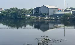 പ്രകൃതി നമ്മെ വെറുതെ വിടില്ല; പരിസ്ഥിതി നാശം ഗുരുതരമായ പ്രത്യാഘാതങ്ങള്‍ ഉണ്ടാക്കുമെന്ന് സുപ്രിംകോടതി