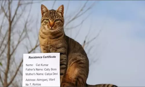 പേര് ക്യാറ്റ് കുമാര്, അച്ഛന് കാറ്റി ബോസ്, അമ്മ കാറ്റിയ ദേവി; താമസ സര്ട്ടിഫിക്കറ്റിന് അപേക്ഷ നല്കി പൂച്ച പേര് ക്യാറ്റ് കുമാര്, അച്ഛന് കാറ്റി ബോസ്, അമ്മ കാറ്റിയ ദേവി; താമസ സര്ട്ടിഫിക്കറ്റിന് അപേക്ഷ നല്കി പൂച്ച