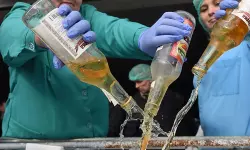 കുവൈത്തില് വ്യാജമദ്യം കഴിച്ച് പത്ത് പേര് മരിച്ചു; ഇന്ത്യക്കാരുണ്ടെന്ന് സൂചന കുവൈത്തില് വ്യാജമദ്യം കഴിച്ച് പത്ത് പേര് മരിച്ചു; ഇന്ത്യക്കാരുണ്ടെന്ന് സൂചന