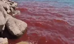 ഇസ്രായേലിലെ ഗലീലി കടലിലെ വെള്ളം കണ്ട് ഭയന്ന് ആളുകള്, റിപോര്ട്ട് ഇസ്രായേലിലെ ഗലീലി കടലിലെ വെള്ളം കണ്ട് ഭയന്ന് ആളുകള്, റിപോര്ട്ട്