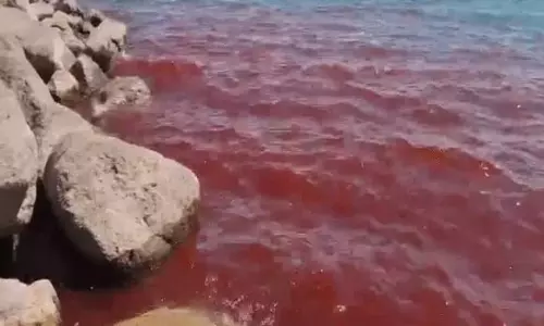 ഇസ്രായേലിലെ ഗലീലി കടലിലെ വെള്ളം കണ്ട് ഭയന്ന് ആളുകള്, റിപോര്ട്ട് ഇസ്രായേലിലെ ഗലീലി കടലിലെ വെള്ളം കണ്ട് ഭയന്ന് ആളുകള്, റിപോര്ട്ട്