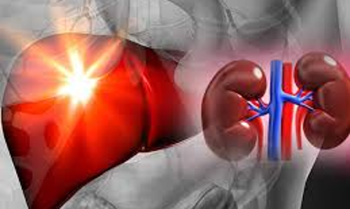 സഹോദരിയുടെ വൃക്കയും അളിയന്റെ കരളും; ഇരട്ട അവയവമാറ്റ ശസ്ത്രക്രിയയിലൂടെ സഹോദരനെ രക്ഷിക്കാന് അവയവങ്ങള് ദാനം ചെയ്ത് ദമ്പതികള് സഹോദരിയുടെ വൃക്കയും അളിയന്റെ കരളും; ഇരട്ട അവയവമാറ്റ ശസ്ത്രക്രിയയിലൂടെ സഹോദരനെ രക്ഷിക്കാന് അവയവങ്ങള് ദാനം ചെയ്ത് ദമ്പതികള്