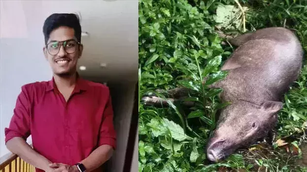 കൊല്ലത്ത് യുവാവ് മരിച്ചത് ബൈക്കിൽ കാട്ടുപന്നി ഇടിച്ചല്ല, കാറിടിച്ച്; തമിഴ്നാട് സ്വദേശി കസ്റ്റഡിയിൽ