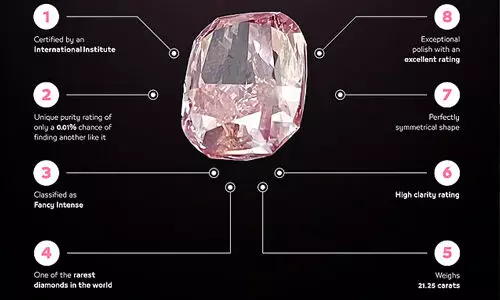 ദുബൈയില് 218 കോടിയുടെ രത്നം കവര്ന്നു; എട്ടു മണിക്കൂറില് പ്രതികളെ പിടിച്ച് പോലിസ് ദുബൈയില് 218 കോടിയുടെ രത്നം കവര്ന്നു; എട്ടു മണിക്കൂറില് പ്രതികളെ പിടിച്ച് പോലിസ്