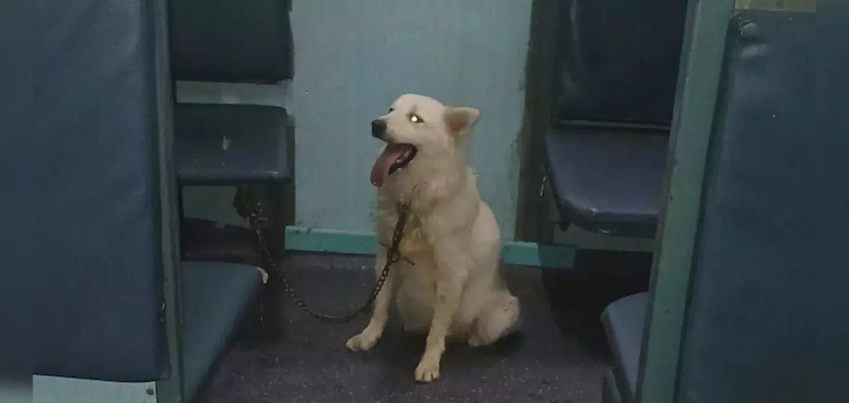 സീറ്റിൽ നായയെ കെട്ടിയിട്ടു, ട്രൈയിൻ വൈകിയത് ഒരുമണിക്കൂർ