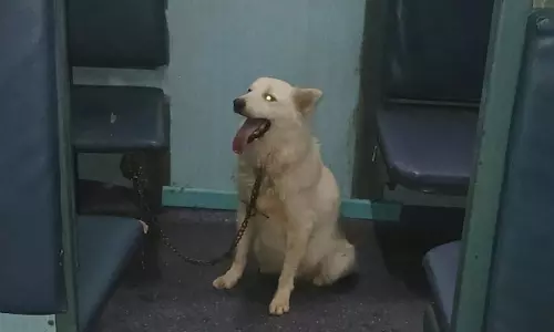 സീറ്റിൽ നായയെ കെട്ടിയിട്ടു, ട്രൈയിൻ വൈകിയത് ഒരുമണിക്കൂർ സീറ്റിൽ നായയെ കെട്ടിയിട്ടു, ട്രൈയിൻ വൈകിയത് ഒരുമണിക്കൂർ