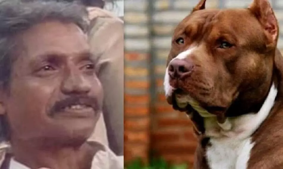 അയല്വാസിയുടെ നായ വയോധികനെ കടിച്ചുകൊന്നു അയല്വാസിയുടെ നായ വയോധികനെ കടിച്ചുകൊന്നു