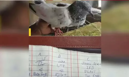 ജമ്മു സ്‌റ്റേഷനില്‍ ബോംബ് സ്‌ഫോടനം സന്ദേശവുമായി പ്രാവ് പിടിയില്‍; സുരക്ഷ ശക്തമാക്കി