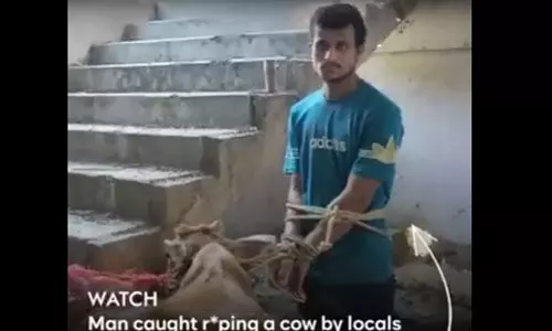 പശുവിനെ പീഡിപ്പിച്ചയാള് അറസ്റ്റില് പശുവിനെ പീഡിപ്പിച്ചയാള് അറസ്റ്റില്