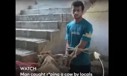 เดชเดถเตเดตเดฟเดจเต เดชเตเดกเดฟเดชเตเดชเดฟเดเตเดเดฏเดพเดณเตโ เด
เดฑเดธเตเดฑเตเดฑเดฟเดฒเตโ เดชเดถเตเดตเดฟเดจเต เดชเตเดกเดฟเดชเตเดชเดฟเดเตเดเดฏเดพเดณเตโ เด
เดฑเดธเตเดฑเตเดฑเดฟเดฒเตโ