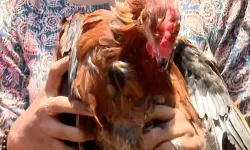 เดฎเดนเดฟเดณเดพ เดฎเตเดฐเตโเดเตเดเดเตเดเดพเดฐเตโ เดธเดฎเดฐเดคเตเดคเดฟเดจเต เดเตเดฃเตเดเตเดตเดจเตเดจ เดเตเดดเดฟ เดเดคเตเดคเต; เด
เดจเตเดตเตเดทเดฃเด เดตเตเดฃเดฎเตเดจเตเดจเต เดชเดฐเดพเดคเดฟ เดฎเดนเดฟเดณเดพ เดฎเตเดฐเตโเดเตเดเดเตเดเดพเดฐเตโ เดธเดฎเดฐเดคเตเดคเดฟเดจเต เดเตเดฃเตเดเตเดตเดจเตเดจ เดเตเดดเดฟ เดเดคเตเดคเต; เด
เดจเตเดตเตเดทเดฃเด เดตเตเดฃเดฎเตเดจเตเดจเต เดชเดฐเดพเดคเดฟ