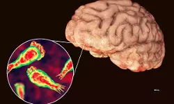 സംസ്ഥാനത്ത് വീണ്ടും അമീബിക് മസ്തിഷ്ക ജ്വരം; ചികില്സയില് കഴിയുന്നത് ഏഴുപേര് സംസ്ഥാനത്ത് വീണ്ടും അമീബിക് മസ്തിഷ്ക ജ്വരം; ചികില്സയില് കഴിയുന്നത് ഏഴുപേര്