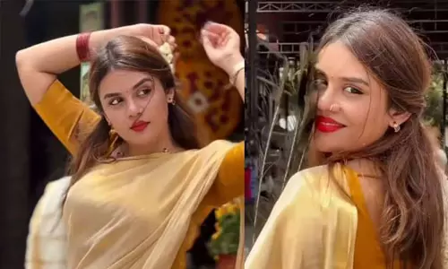 ക്ഷേത്രക്കുളത്തില്‍ റീല്‍സ് എടുത്ത ഇന്‍ഫ്ളുവന്‍സര്‍ ജാസ്മിന്‍ ജാഫറിനെതിരെ പരാതി