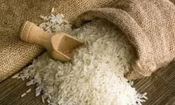 സംസ്ഥാനത്ത് ഓണത്തിന് സ്പെഷ്യല് അരി, എല്ലാ വിഭാഗം റേഷന്കാര്ഡുകാര്ക്കും മണ്ണെണ്ണ സംസ്ഥാനത്ത് ഓണത്തിന് സ്പെഷ്യല് അരി, എല്ലാ വിഭാഗം റേഷന്കാര്ഡുകാര്ക്കും മണ്ണെണ്ണ