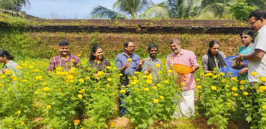 കുടുംബശ്രീ ഓണം വിപണനമേളകൾ ഇന്നുമുതൽ