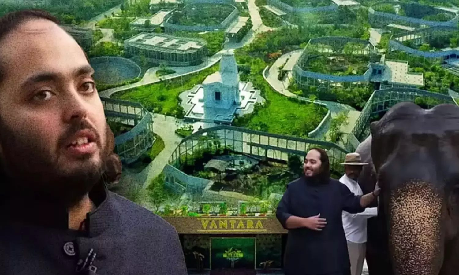 ആനന്ദ് അംബാനിയുടെ വന്താരയ്‌ക്കെതിരേ അന്വേഷണ ഉത്തരവുമായി സുപ്രിം കോടതി