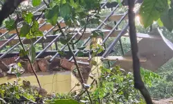 കണ്ണൂരിലെ സ്ഫോടനത്തിന് പിന്നില് അനൂപ് തന്നെയോ ? കണ്ണൂരിലെ സ്ഫോടനത്തിന് പിന്നില് അനൂപ് തന്നെയോ ?