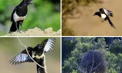 เดญเตเดฎเดฟเดฏเดฟเดฒเต เดเดฑเตเดฑเดตเตเด เด
เดชเตเดฐเตโเดต เดชเดเตเดทเดฟเดฏเดพเดฏ เด
เดธเดฟเดฐเตโ เดฎเดพเดเตโเดชเต เดตเดเดถเดจเดพเดถเดญเตเดทเดฃเดฟ เดจเตเดฐเดฟเดเตเดจเตเดจ เดเตเดตเดฟเดเดณเตเดเต เดชเดเตเดเดฟเดเดฏเดฟเดฒเตโ เดญเตเดฎเดฟเดฏเดฟเดฒเต เดเดฑเตเดฑเดตเตเด เด
เดชเตเดฐเตโเดต เดชเดเตเดทเดฟเดฏเดพเดฏ เด
เดธเดฟเดฐเตโ เดฎเดพเดเตโเดชเต เดตเดเดถเดจเดพเดถเดญเตเดทเดฃเดฟ เดจเตเดฐเดฟเดเตเดจเตเดจ เดเตเดตเดฟเดเดณเตเดเต เดชเดเตเดเดฟเดเดฏเดฟเดฒเตโ