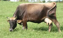 เดชเดพเดเดคเตเดคเต เดชเดถเตเดเดฏเดฑเดฟเดฏเดคเต เดเตเดฆเตเดฏเด เดเตเดฏเตเดคเต; เดเดฐเตโเดเดธเตเดเดธเต เดจเตเดคเดพเดตเดฟเดจเตเดฑเต เดฎเดเดจเต เด
เดเดฟเดเตเดเตเดเตเดจเตเดจเต เดชเดพเดเดคเตเดคเต เดชเดถเตเดเดฏเดฑเดฟเดฏเดคเต เดเตเดฆเตเดฏเด เดเตเดฏเตเดคเต; เดเดฐเตโเดเดธเตเดเดธเต เดจเตเดคเดพเดตเดฟเดจเตเดฑเต เดฎเดเดจเต เด
เดเดฟเดเตเดเตเดเตเดจเตเดจเต