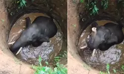 เดเตเดคเดฎเดเดเดฒเดคเตเดคเต เดเดพเดเตเดเดพเดจ เดเดฟเดฃเดฑเตเดฑเดฟเดฒเตโ เดตเตเดฃเต เดเตเดคเดฎเดเดเดฒเดคเตเดคเต เดเดพเดเตเดเดพเดจ เดเดฟเดฃเดฑเตเดฑเดฟเดฒเตโ เดตเตเดฃเต