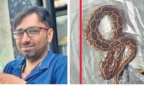 ചെരുപ്പിലെ പാമ്പിന്റെ കടിയേറ്റ് യുവാവ് മരിച്ചു ചെരുപ്പിലെ പാമ്പിന്റെ കടിയേറ്റ് യുവാവ് മരിച്ചു