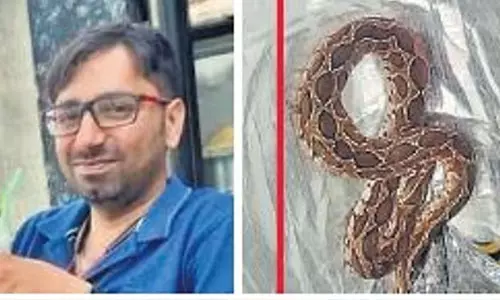 ചെരുപ്പിലെ പാമ്പിന്റെ കടിയേറ്റ് യുവാവ് മരിച്ചു ചെരുപ്പിലെ പാമ്പിന്റെ കടിയേറ്റ് യുവാവ് മരിച്ചു