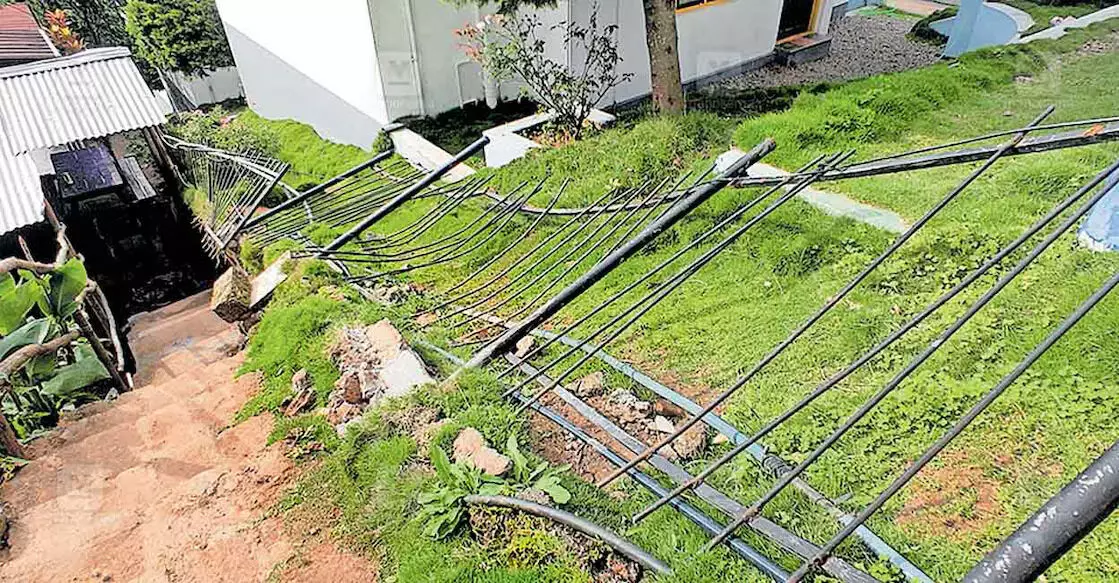 കാന്തല്ലൂരിൽ കാട്ടാന ശല്യം; റിസോർട്ടിൽ കയറി ആന വാഴക്കൃഷി നശിപ്പിച്ചു