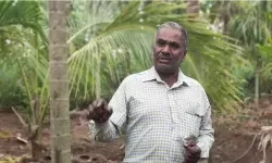 കോപ്പിയടി പൂഴ്ത്തിയത് സിപിഎം ജില്ലാക്കമ്മിറ്റിയും എസ് രാജേന്ദ്രനും: എസ്എഫ്‌ഐക്കാരുടെ വ്യാജ പീഡന പരാതിയില്‍ കോടതി കുറ്റവിമുക്തനാക്കിയ അധ്യാപകന്‍