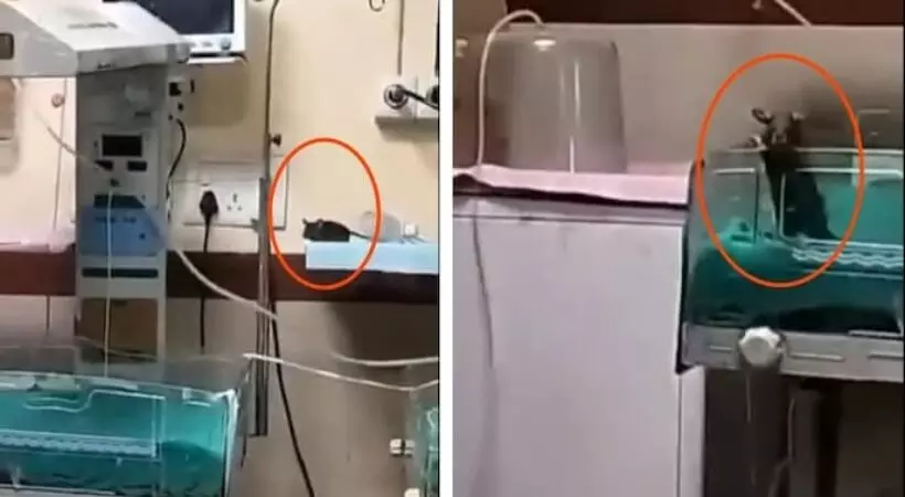 സര്‍ക്കാര്‍ ആശുപത്രിയില്‍ സുരക്ഷാ വീഴ്ച; ഐസിയുവില്‍ എലിയുടെ കടിയേറ്റ് കുഞ്ഞ്   മരിച്ചു