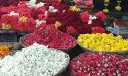 പൂക്കടയില് കത്തിക്കുത്ത്; പ്രതിയെ പോലിസ് പിടികൂടി പൂക്കടയില് കത്തിക്കുത്ത്; പ്രതിയെ പോലിസ് പിടികൂടി