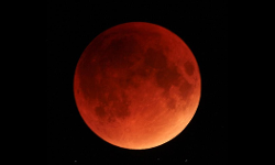 *ചന്ദ്രഗ്രഹണം ഇന്ന്; രക്ത ചന്ദ്രൻ ഇന്ന് ദൃശ്യമാകും*