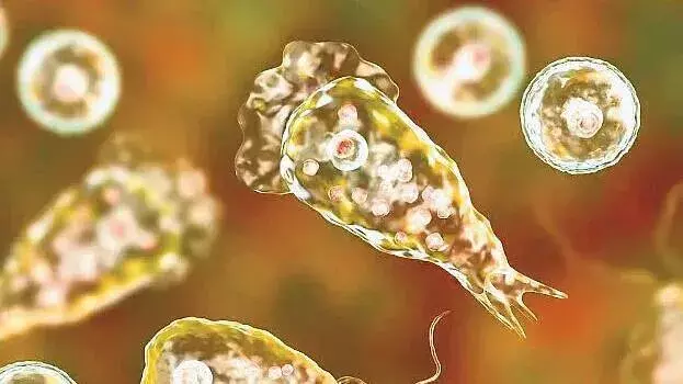 സംസ്ഥാനത്ത് വീണ്ടും അമീബിക് അമീബിക് മസ്തിഷ്ക ജ്വരം; പത്തുവയസുകാരി ചികില്സയില് സംസ്ഥാനത്ത് വീണ്ടും അമീബിക് അമീബിക് മസ്തിഷ്ക ജ്വരം; പത്തുവയസുകാരി ചികില്സയില്