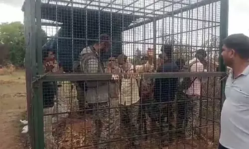  കടുവയെ പിടിച്ചിട്ട് പോയാല്‍ മതി വനം വകുപ്പ് ഉദ്യോഗസ്ഥരെ കടുവയ്ക്കുവെച്ച കൂട്ടില്‍ പൂട്ടിയിട്ട് കര്‍ഷകര്‍