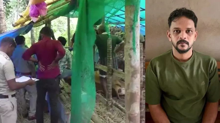 പശുക്കളെ ക്രൂരമായി കുത്തി കൊലപ്പെടുത്തി; പ്രതി അറസ്റ്റില് പശുക്കളെ ക്രൂരമായി കുത്തി കൊലപ്പെടുത്തി; പ്രതി അറസ്റ്റില്