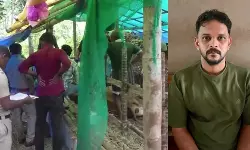 പശുക്കളെ ക്രൂരമായി കുത്തി കൊലപ്പെടുത്തി; പ്രതി അറസ്റ്റില്‍