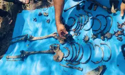 വിജിലിന്റെ കൊലപാതകം: കണ്ടെത്തിയത് 53 അസ്ഥികള് വിജിലിന്റെ കൊലപാതകം: കണ്ടെത്തിയത് 53 അസ്ഥികള്