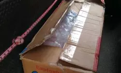 പാലക്കാട് സ്ഫോടകവസ്തു ശേഖരം പിടികൂടി; 405 ജലാറ്റിന് സ്റ്റിക്കുകളെന്ന് പോലിസ് പാലക്കാട് സ്ഫോടകവസ്തു ശേഖരം പിടികൂടി; 405 ജലാറ്റിന് സ്റ്റിക്കുകളെന്ന് പോലിസ്