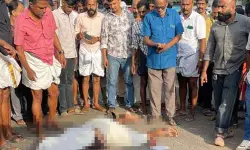 സ്വകാര്യബസ് ഇടിച്ച് ബൈക്ക് യാത്രികന് മരിച്ചു സ്വകാര്യബസ് ഇടിച്ച് ബൈക്ക് യാത്രികന് മരിച്ചു