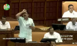 അമീബിക് മസിതിഷ്‌കജ്വരം; യഥാര്‍ഥ കണക്കുകള്‍ മറച്ചുവച്ച് മേനി നടിക്കുകയാണ് ആരോഗ്യവകുപ്പ്: എന്‍ ഷംസുദ്ദീന്‍ എംഎല്‍എ