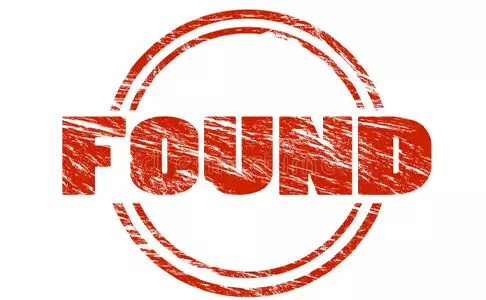 പാലക്കാട്ട് നിന്നും കാണാതായ വിദ്യാര്‍ഥിനികളെ കണ്ടെത്തി